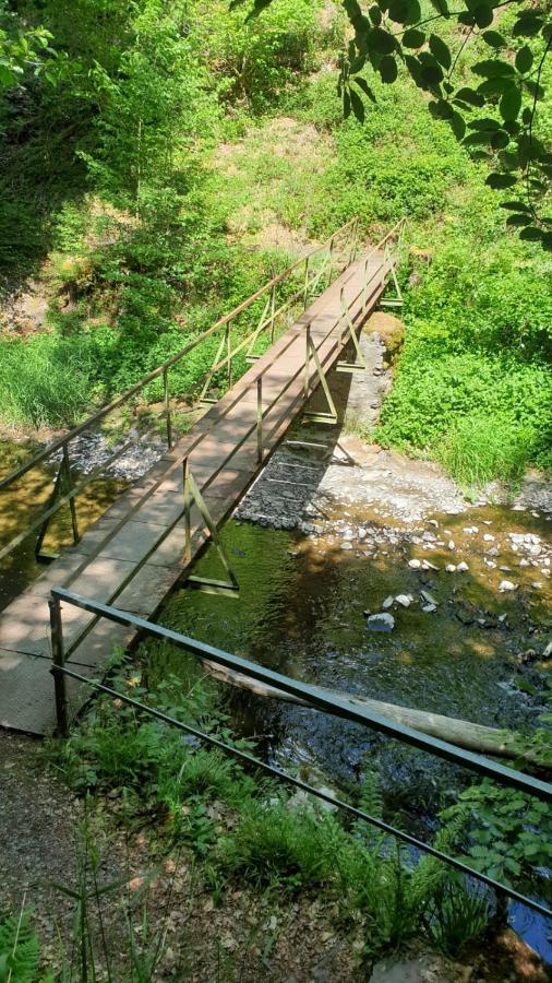 Ferienhaus Auszeit Lägenhet Bad Bertrich Exteriör bild