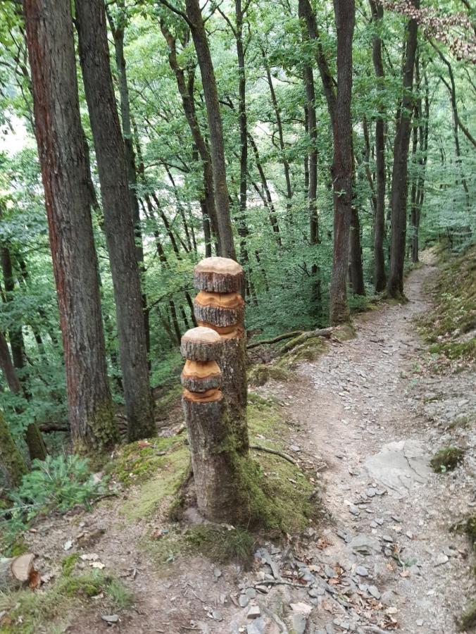 Ferienhaus Auszeit Lägenhet Bad Bertrich Exteriör bild