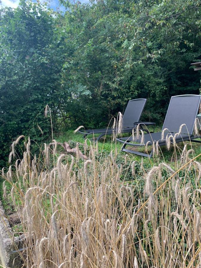 Ferienhaus Auszeit Lägenhet Bad Bertrich Exteriör bild